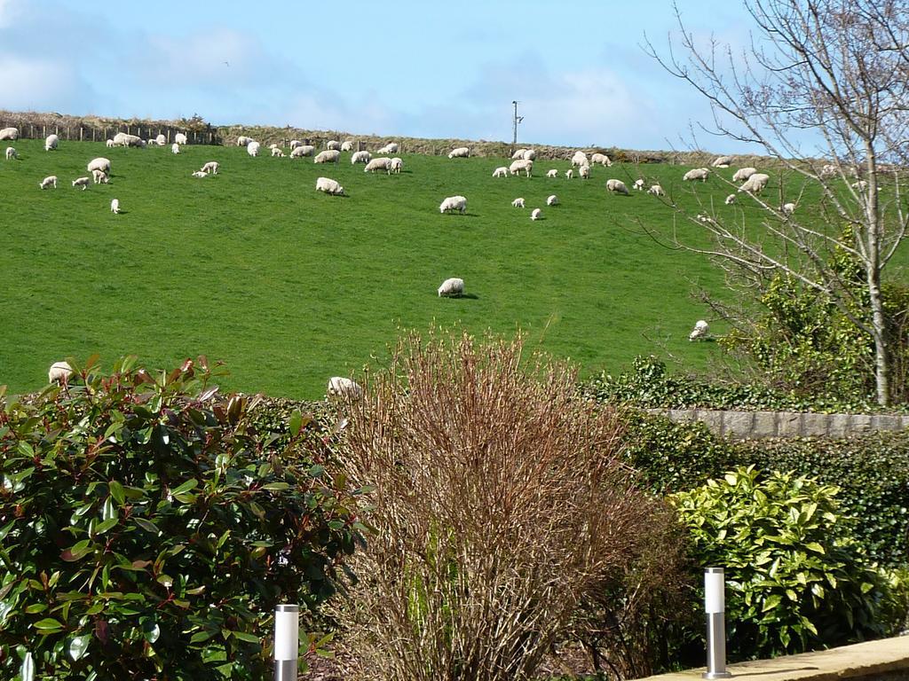 Yr Hen Felin - The Old Mill B&B Morfa Nefyn Extérieur photo