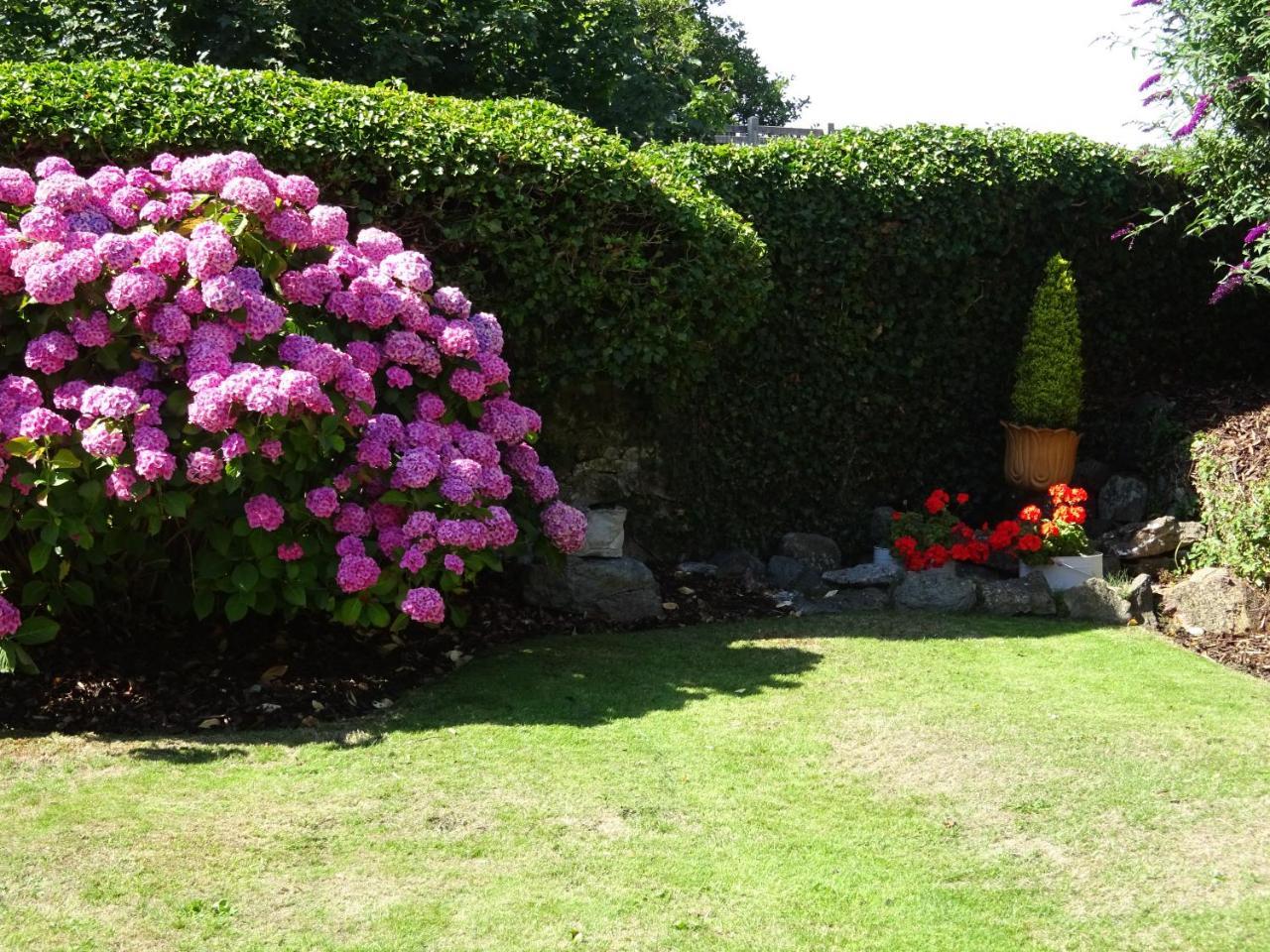 Yr Hen Felin - The Old Mill B&B Morfa Nefyn Extérieur photo